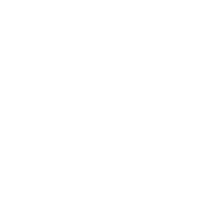 Geschenk Icon