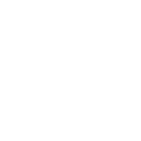 Prozent Icon